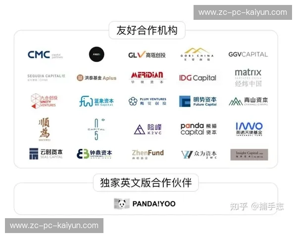 队伍分析解读:从数据到人心,洞见高效协作的秘诀